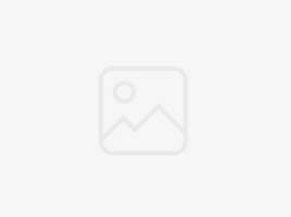 'ഡമ്മി' ആജീവനാന്ത പഠനത്തിൻ്റെ സന്തോഷങ്ങൾ: ജിജ്ഞാസയെ ഉൾക്കൊള്ളുകയും നിങ്ങളുടെ അറിവ് വികസിപ്പിക്കുകയും ചെയ്യുക